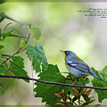 Psalm 59 16